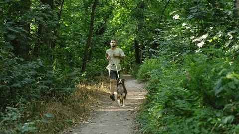 Person går med hund på en smal sti gjennom tett skog